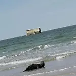 Fl'heurt De Sable Au Bord De