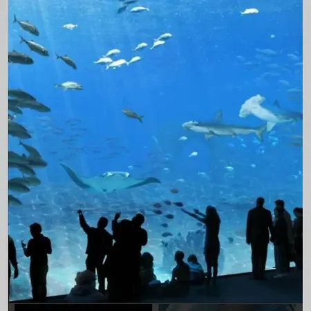 Fl'heurt De Sable Au Bord De Appartement Le Portel