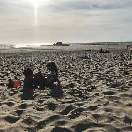 Fl'heurt De Sable Au Bord De *