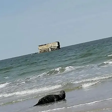 Fl'heurt De Sable Au Bord De